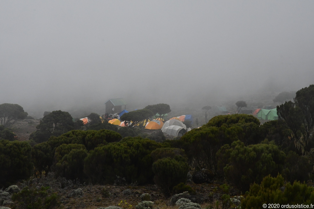 Kilimanjaro Shira Camp