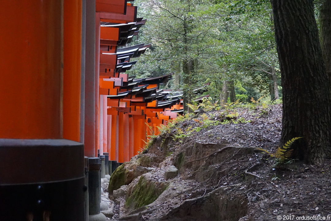 Les Torii alignés du Fushimi Inari
