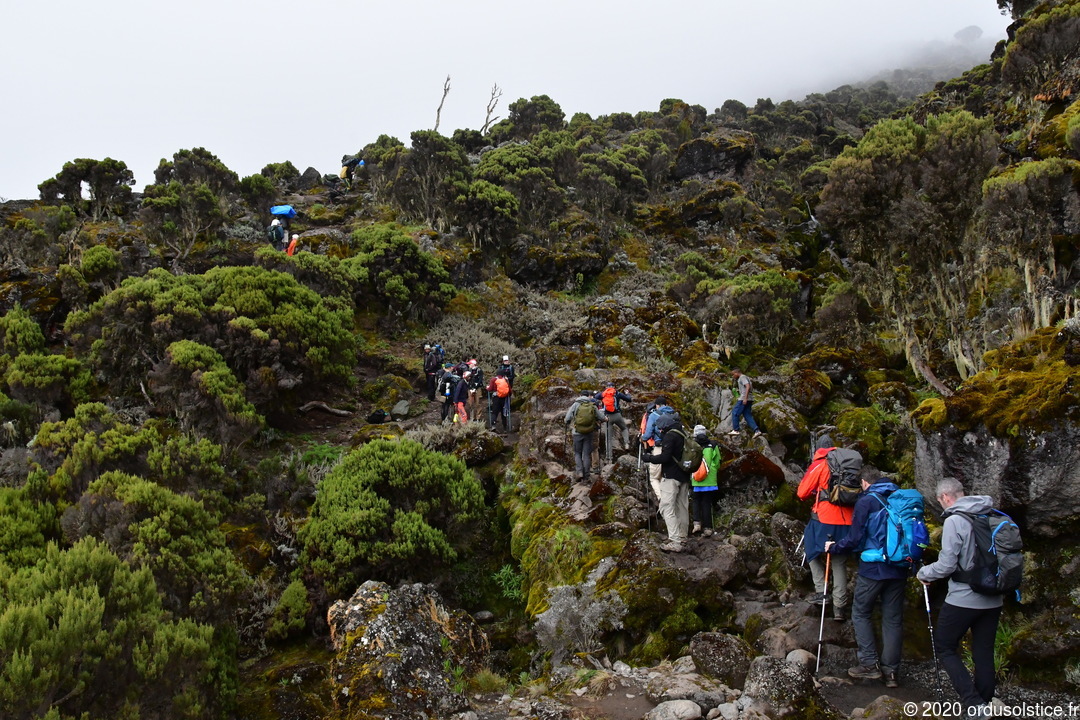 Chemin abrupt à travers les landes du Kilimanjaro